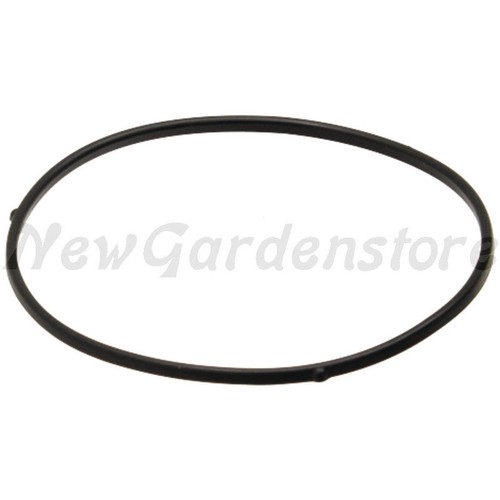 Guarnizione carburatore