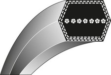 Cinghia esagonale trattorino